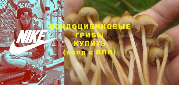 jwh Янаул