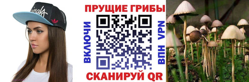 Псилоцибиновые грибы ЛСД  что такое наркотик  kraken онион  Нурлат 