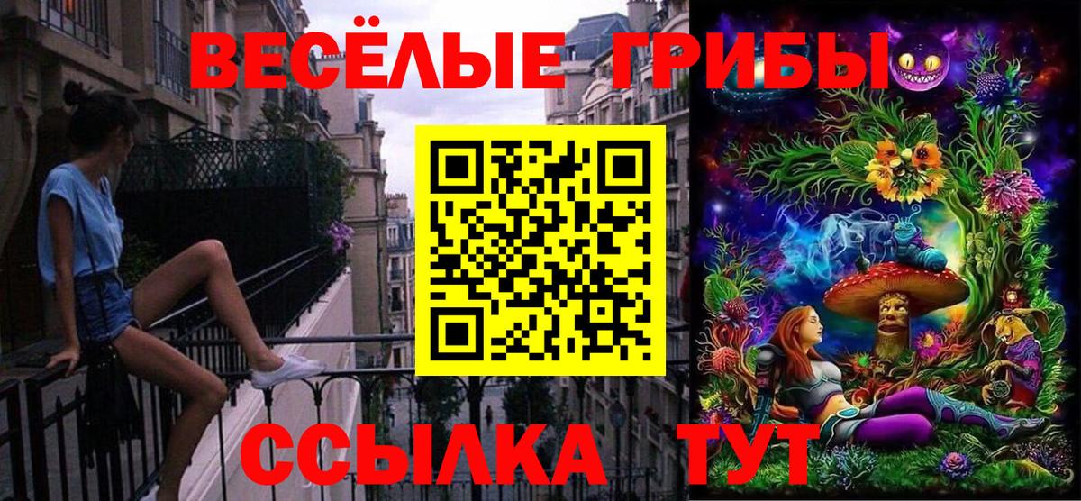 Псилоцибиновые грибы мицелий  Нурлат  Псилоцибиновые грибы Cubensis 