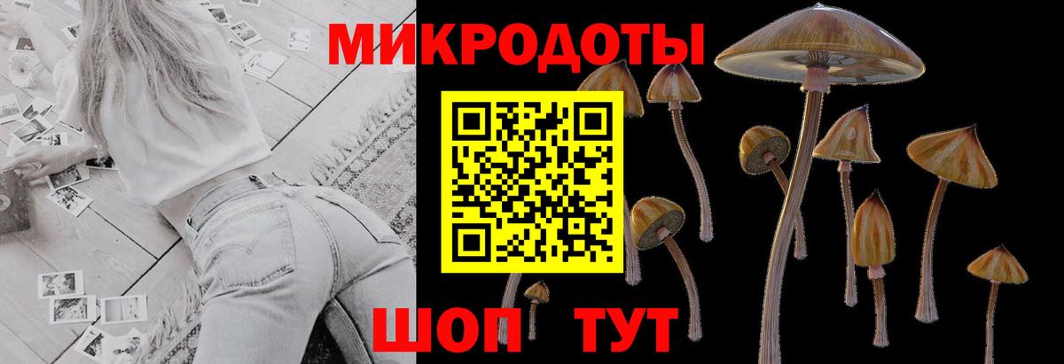 Галлюциногенные грибы Psilocybe  Вход с VPN  Нурлат 